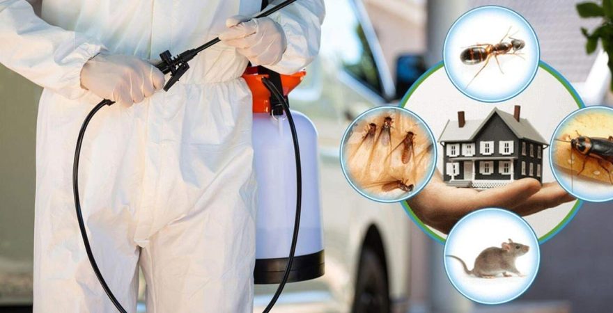 Altınordu Böcek İlaçlama