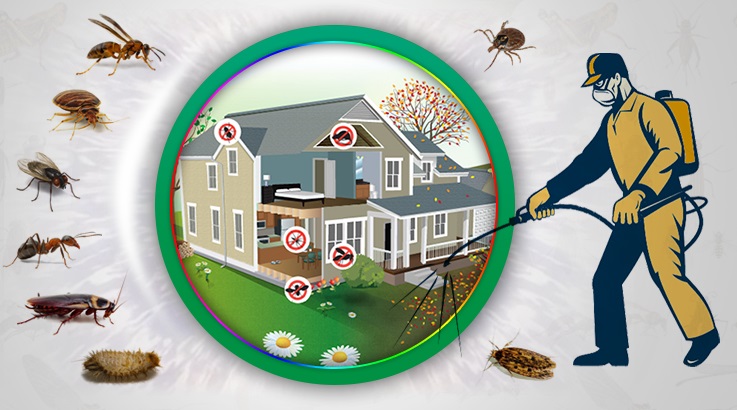 Altınordu Böcek İlaçlama