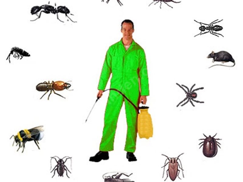 Altınordu Böcek İlaçlama